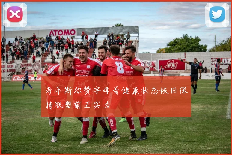 考辛斯称赞字母哥健康状态依旧保持联盟前五实力