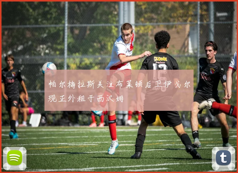 帕尔梅拉斯关注布莱顿后卫伊戈尔现正外租于西汉姆